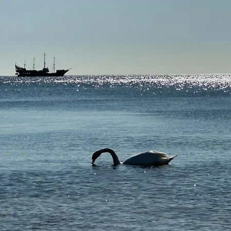 Lägenhet Orlowska Perla Gdynia