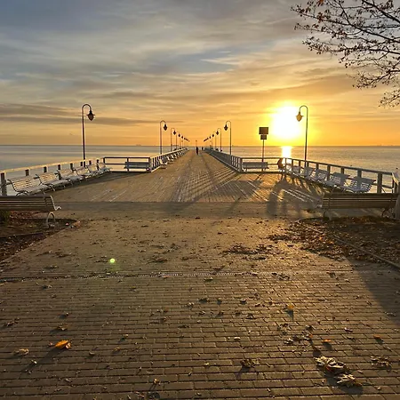 Orłowska Perła Apartament *