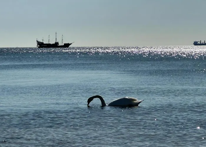 Apartamento Orlowska Perla Gdynia