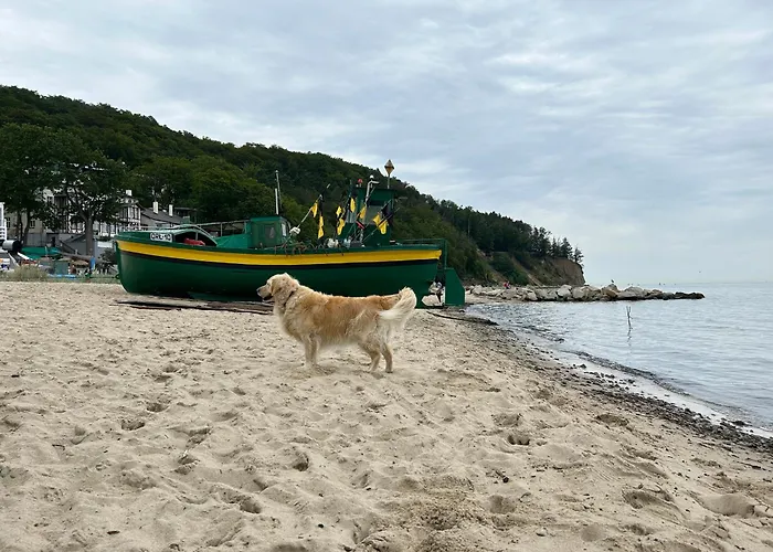 Orlowska Perla Gdynia